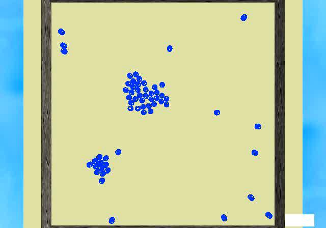 Snapshot of the final position of a clustering pattern formation.